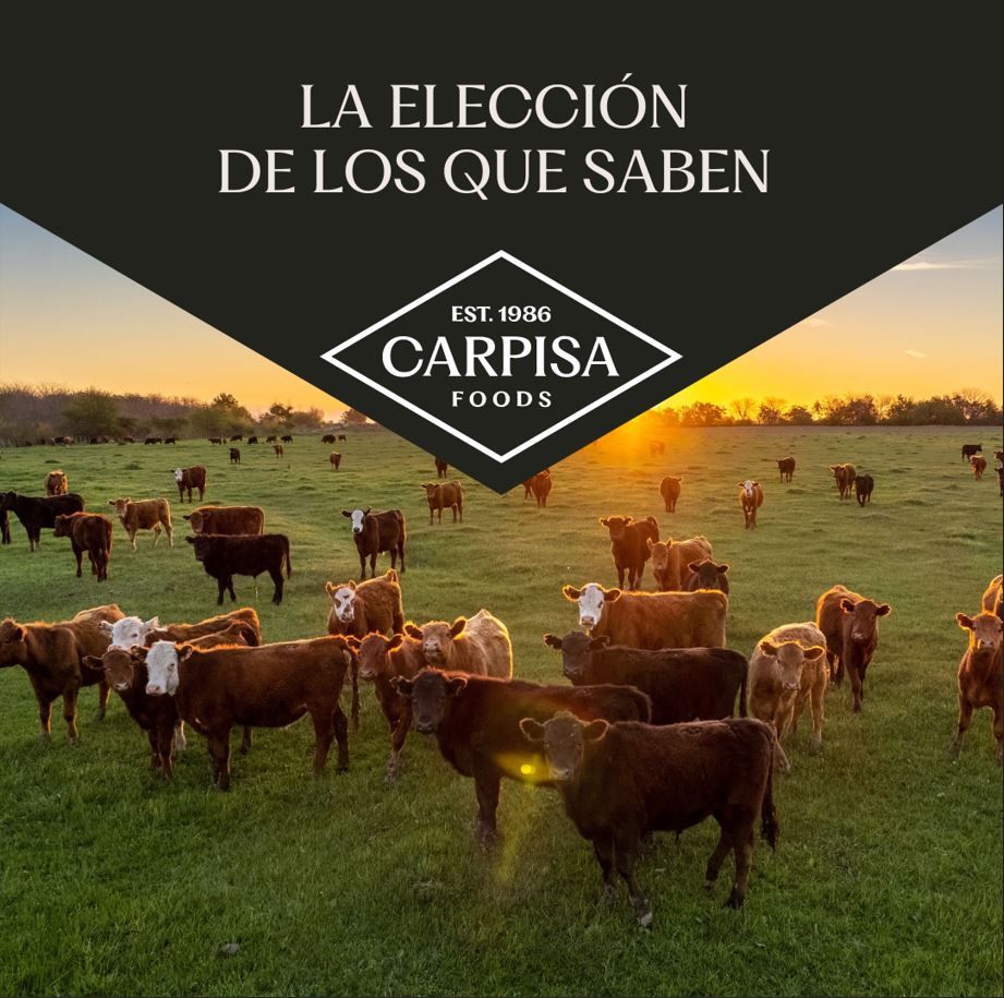 Rebranding - Carpisa 2.jpg