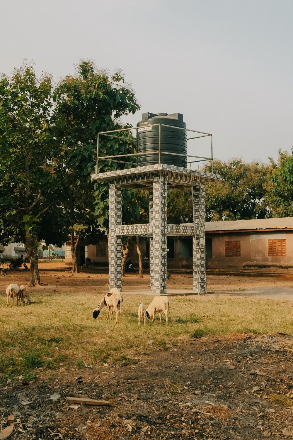 AUARA_Ghana_2.jpg