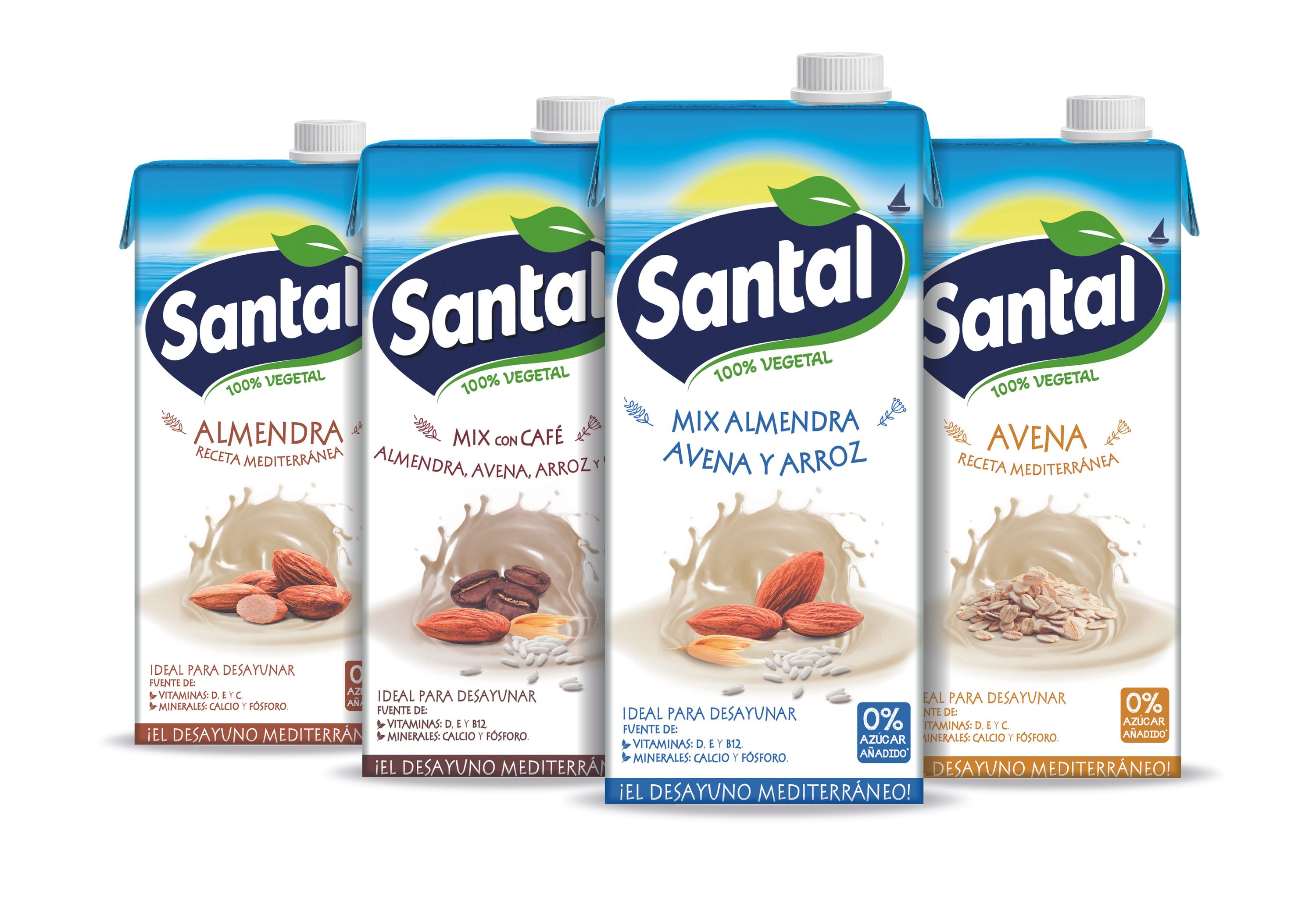Bodegon Santal.jpg