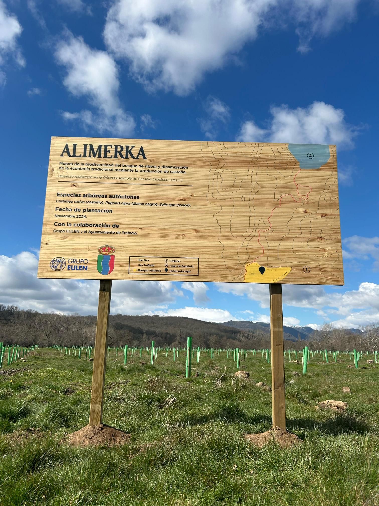 Bosque Alimerka.jpg
