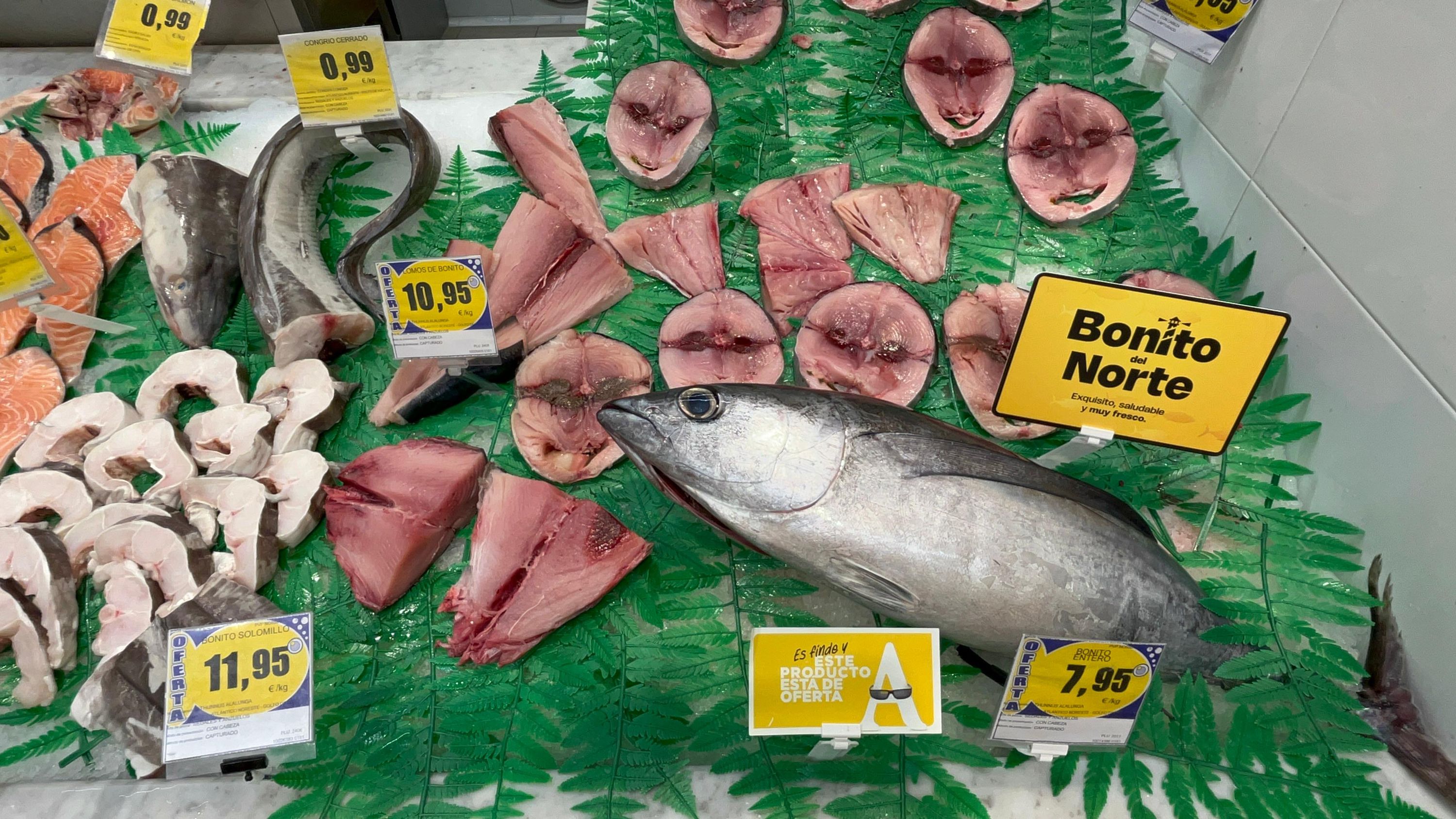 Alimerka - Bonito del Norte 3.jpeg