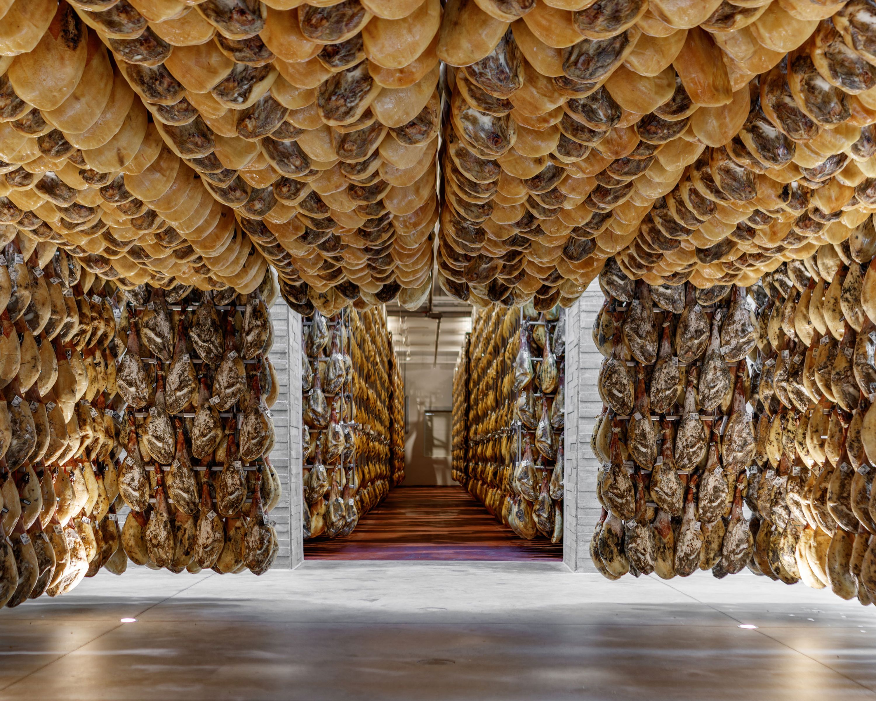 Campus del Jamón - NAOS Bodega.jpg