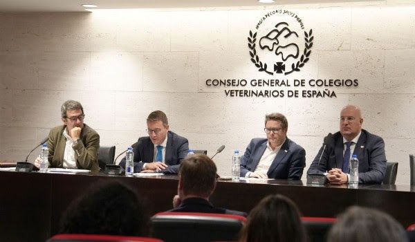 GIS - Conclusiones 1.jpg