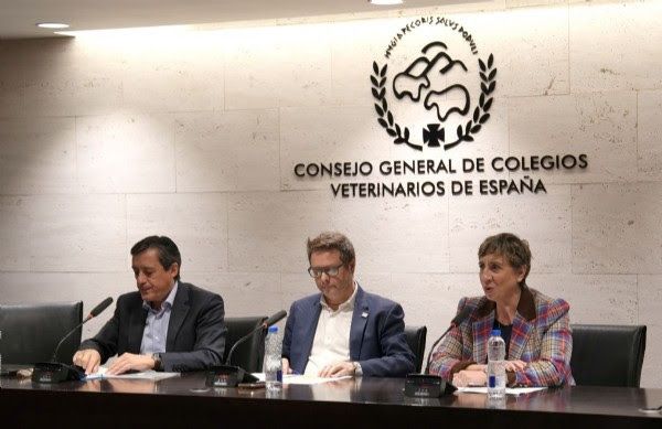 GIS - Conclusiones 2.jpg