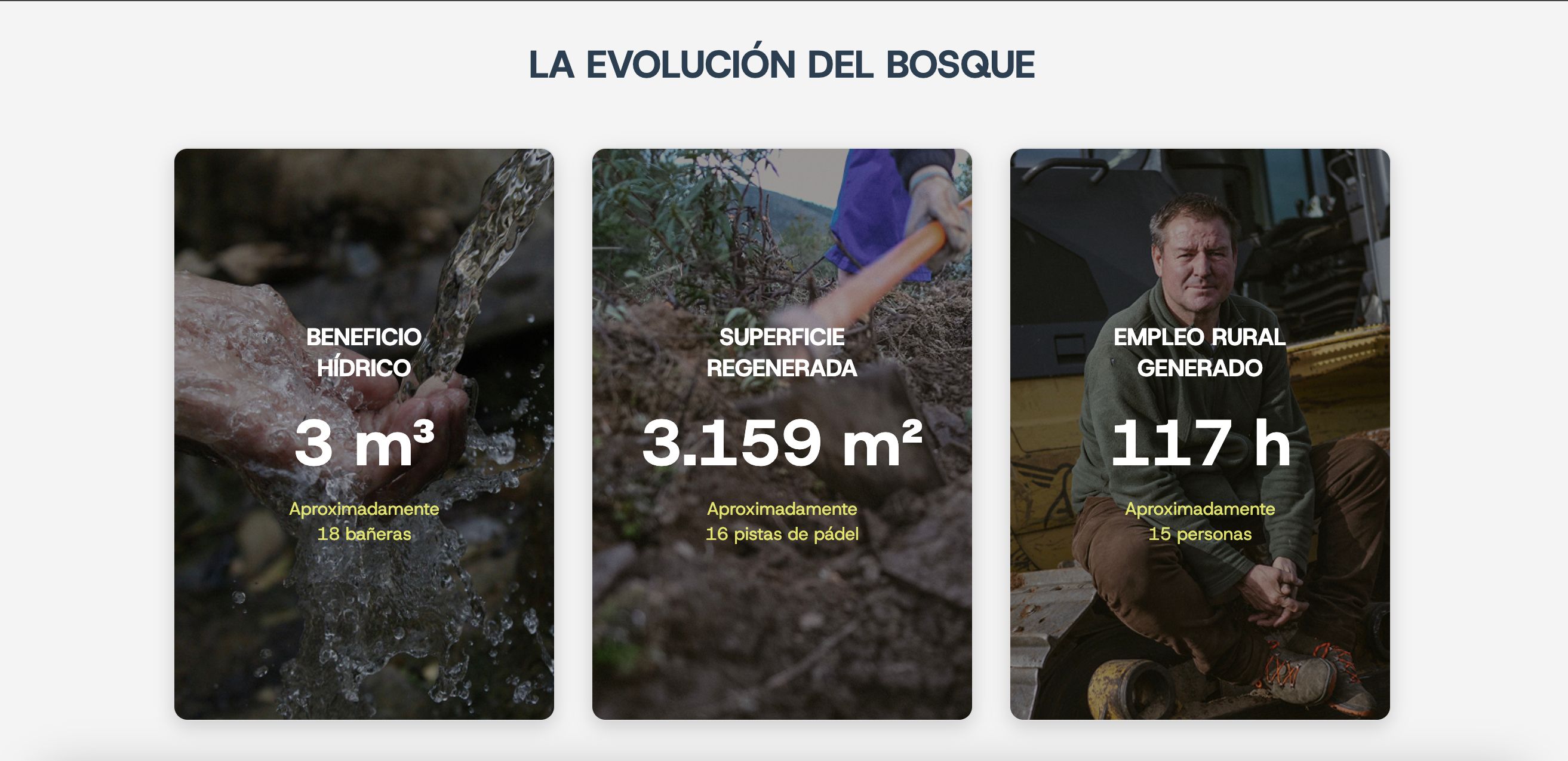 Evolucion.jpg