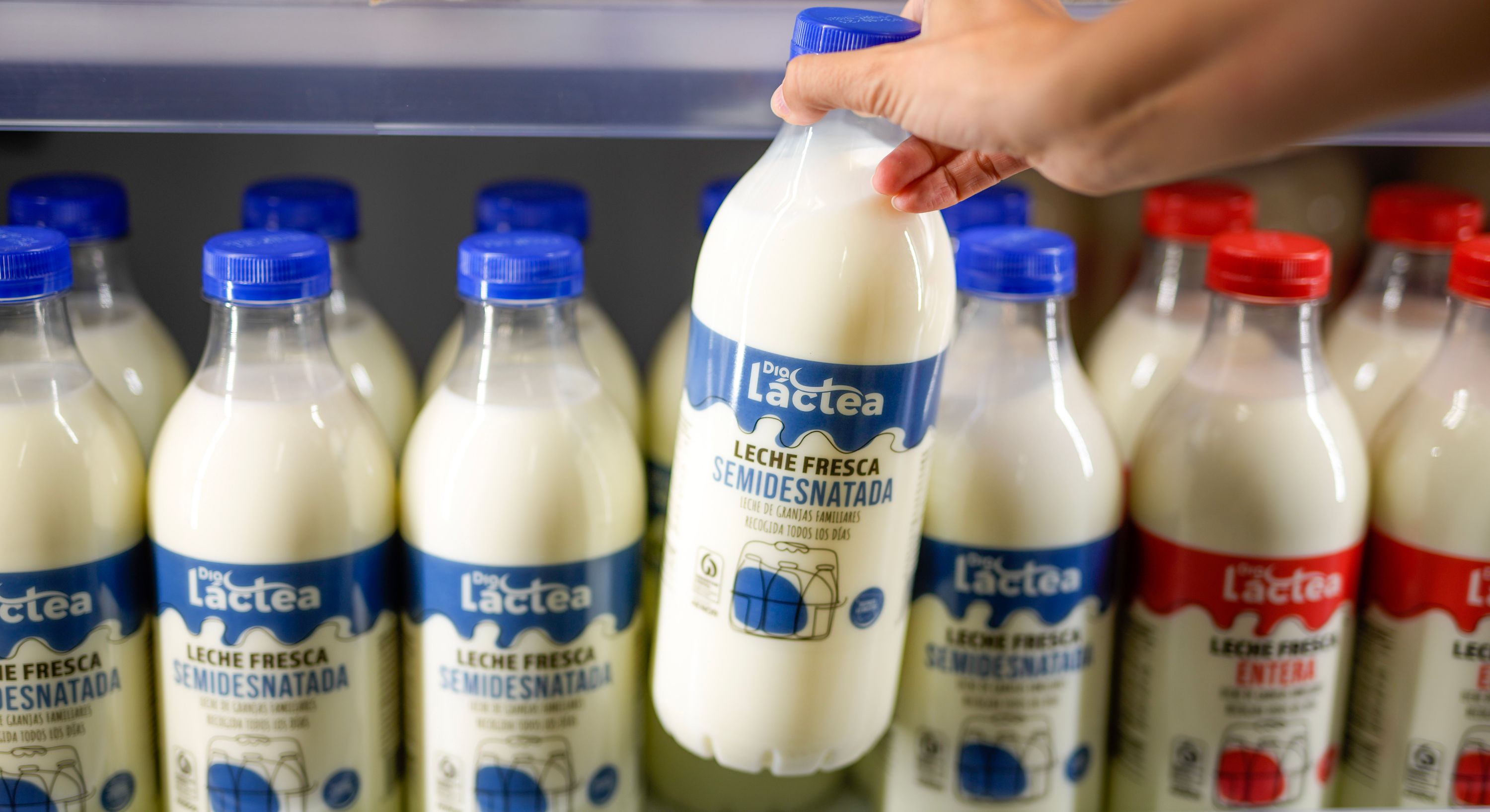 España - Leche Dia láctea - Botellas.jpg