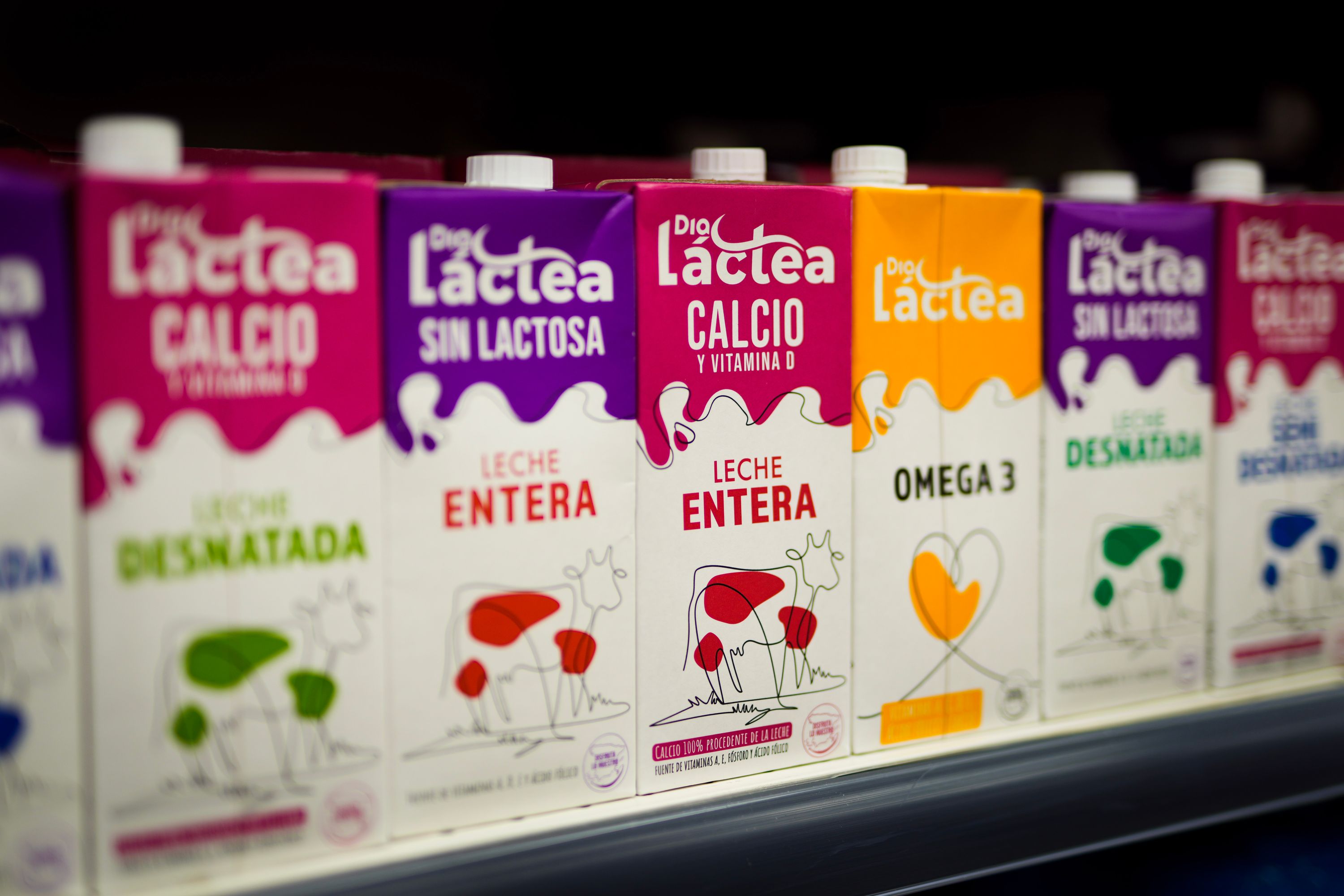 España - Leche Dia Lactea - lineal.jpg