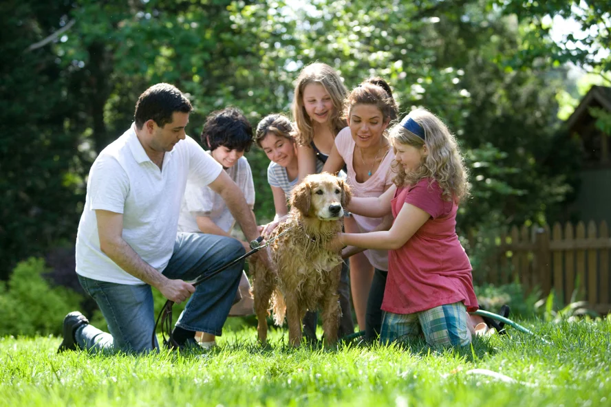 8 de cada 10 españoles incluyen a su perro en las fotos familiares y lo incorporan en su día a día como un miembro más